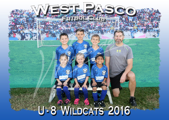 113- U - 8  Wildcats  2016