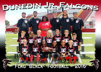 Dunedin Jr. Falcons Football 2016