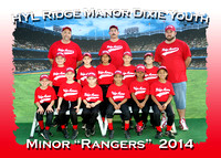 HYL Ridge Manor Dixie Youth Spring Baseball 2014