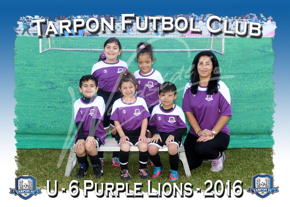 105- U6 Purple Lions