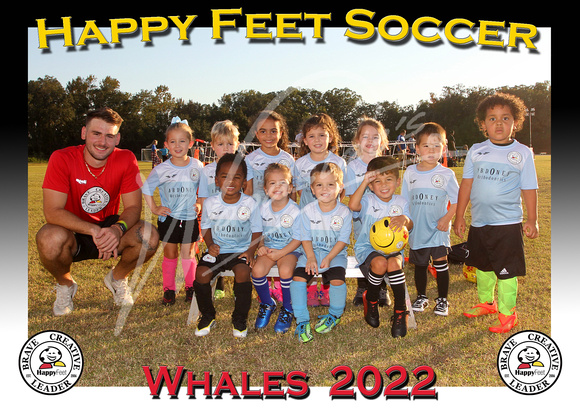 108- 3-4 Whales