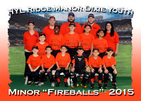 HYL Ridge Manor Baseball 2015