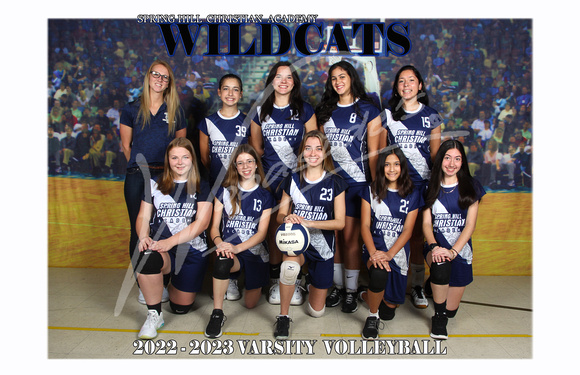 11x17 Varsity Volleyball Team