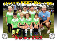 Happy Feet Starkey Sept. / Oct. 2022