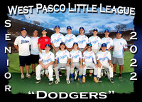 West Pasco Little League Fall 2022