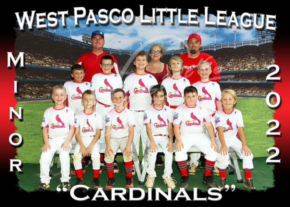 105- Minor Cardinals