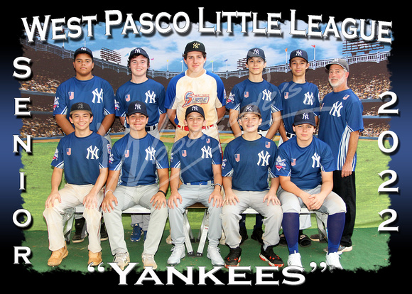 126- Senior Yankees
