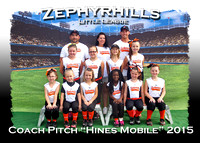 Zephyrhills LL Fall Baseball 2015
