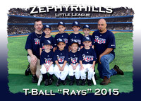 Zephyrhills Little League T-Ball Spring 2015