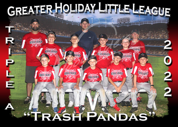 125- AAA Trash Pandas