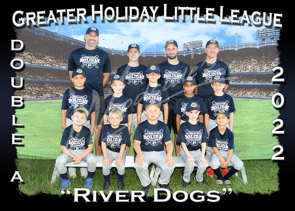 103- AA River Dogs