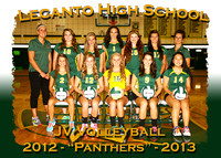 Lecanto High School Volleyball 2012-13