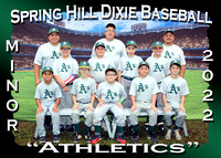 Spring Hill Dixie Baseball Fall 2022