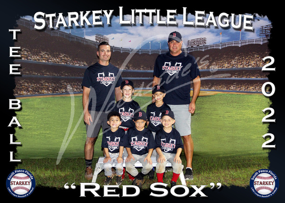 108- Tee Ball Red Sox