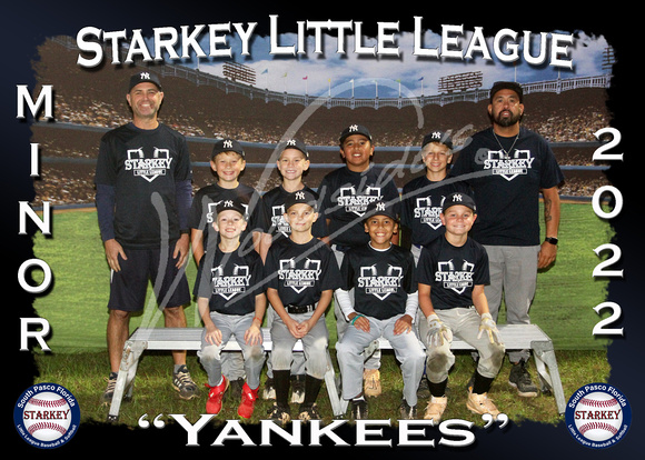 117- Minor Yankees