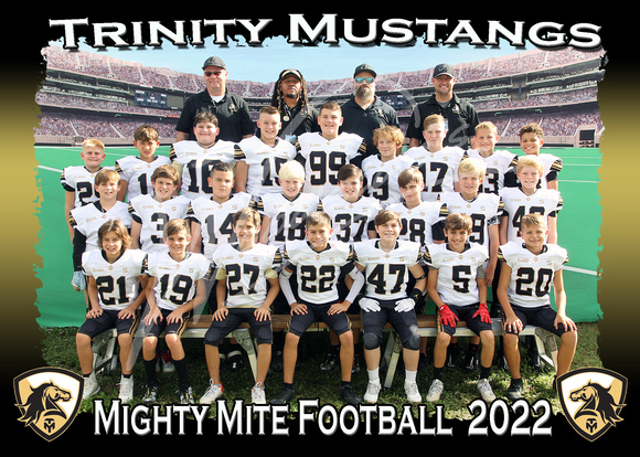103- Mighty MIte FB