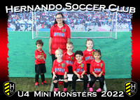 Hernando Soccer Club November 2022