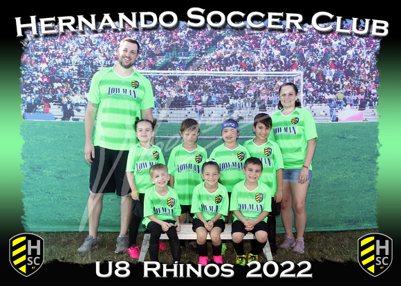 131- U8  Rhinos
