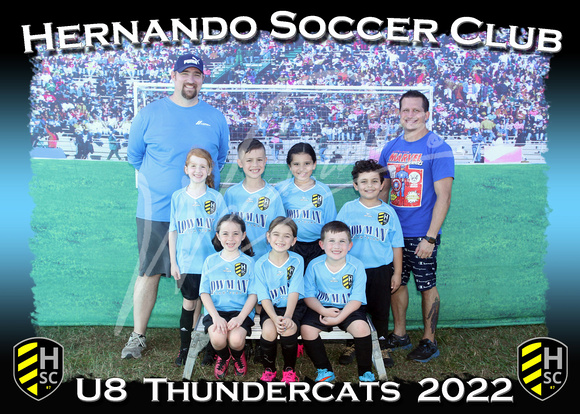 132- U8  Thundercats