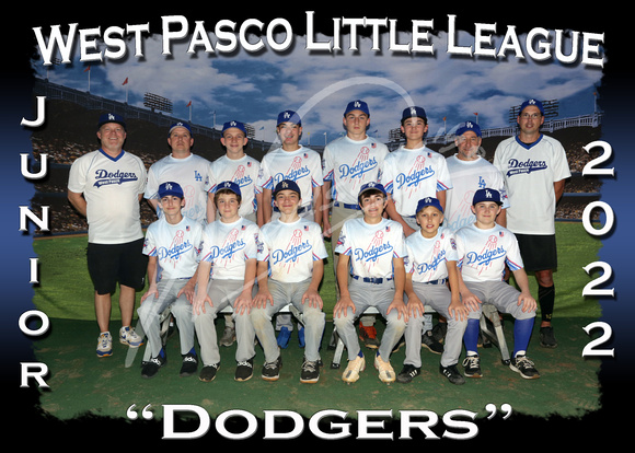 115- Junior Dodgers