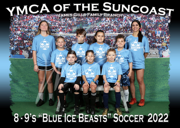 204- 8-9 Blue Ice Beasts