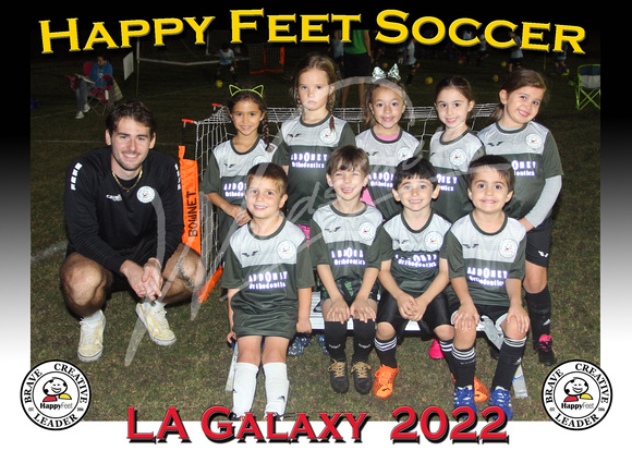 119- 5-6 LA Galaxy
