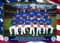 West Pasco LL All Stars 2014