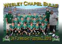 Wesley Chapel Bulls Football 2015