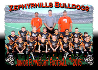 Zephyrhills Bulldogs Football 2015