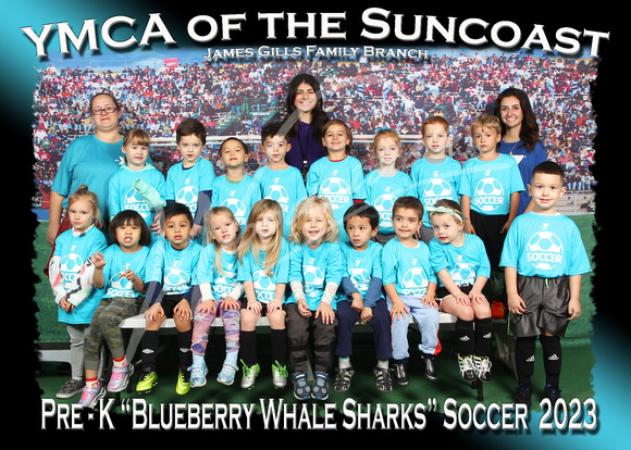 201- Pre-K Blueberry Whale Sharks