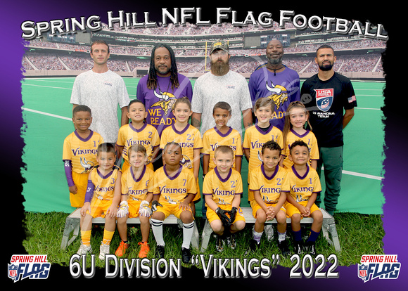 105- 6U Vikings