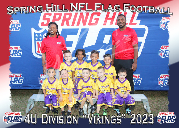 105- 4U Vikings