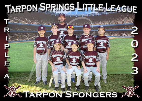 103- AAA Tarpon Spongers