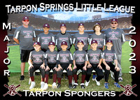 Tarpon Springs Little League February 2023