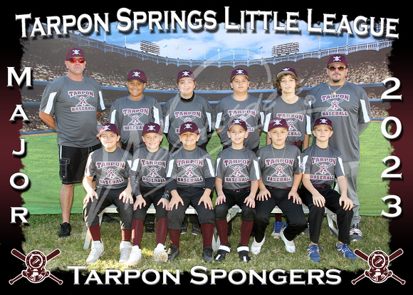 101- Major Tarpon Spongers