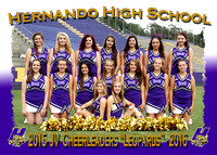 Hernando HS Cheerleaders 2015-2016