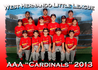 West Hernando Little League Spring 2013