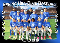 Spring Hill Dixie Baseball Spring 2023
