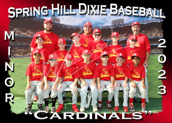 107- Minor Cardinals