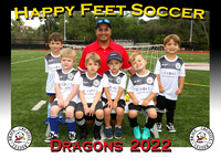 Happy Feet Carrollwood March 2022