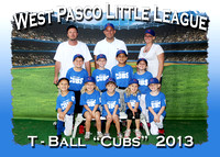 West Pasco Little League T-Ball 2013