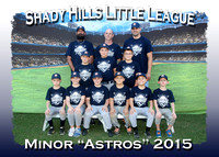 Shady Hills LL Fall 2015