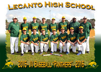 Lecanto HS Baseball 2015-2016