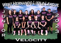 West Hernando Little League Softball Spring 2023