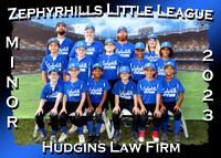 Zephyrhills Little League Spring 2023