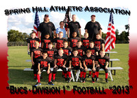 Spring Hill Athletic Assoc. Football 2013