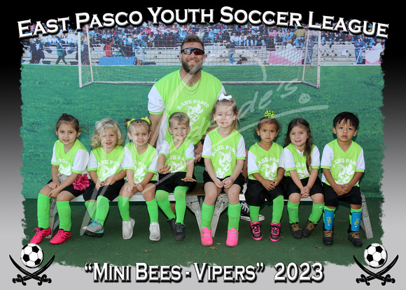 108- Mini Bees- Vipers