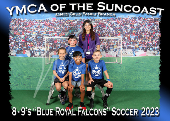 204- 8-9 Blue Royal Falcons
