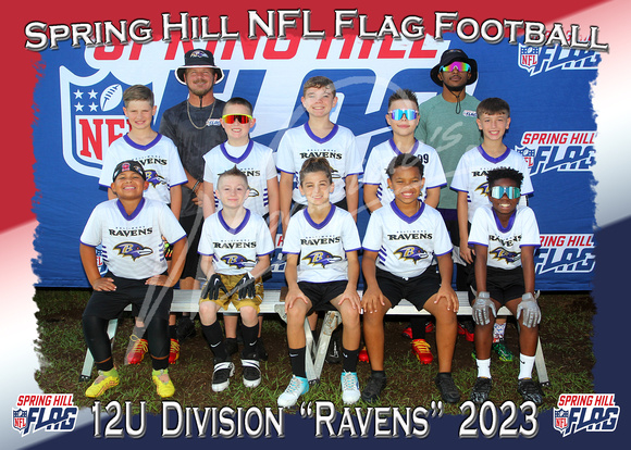 128- 12U Ravens