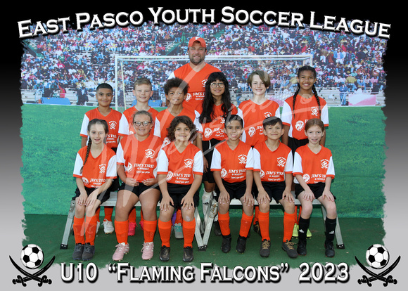 105- U10 Falcons